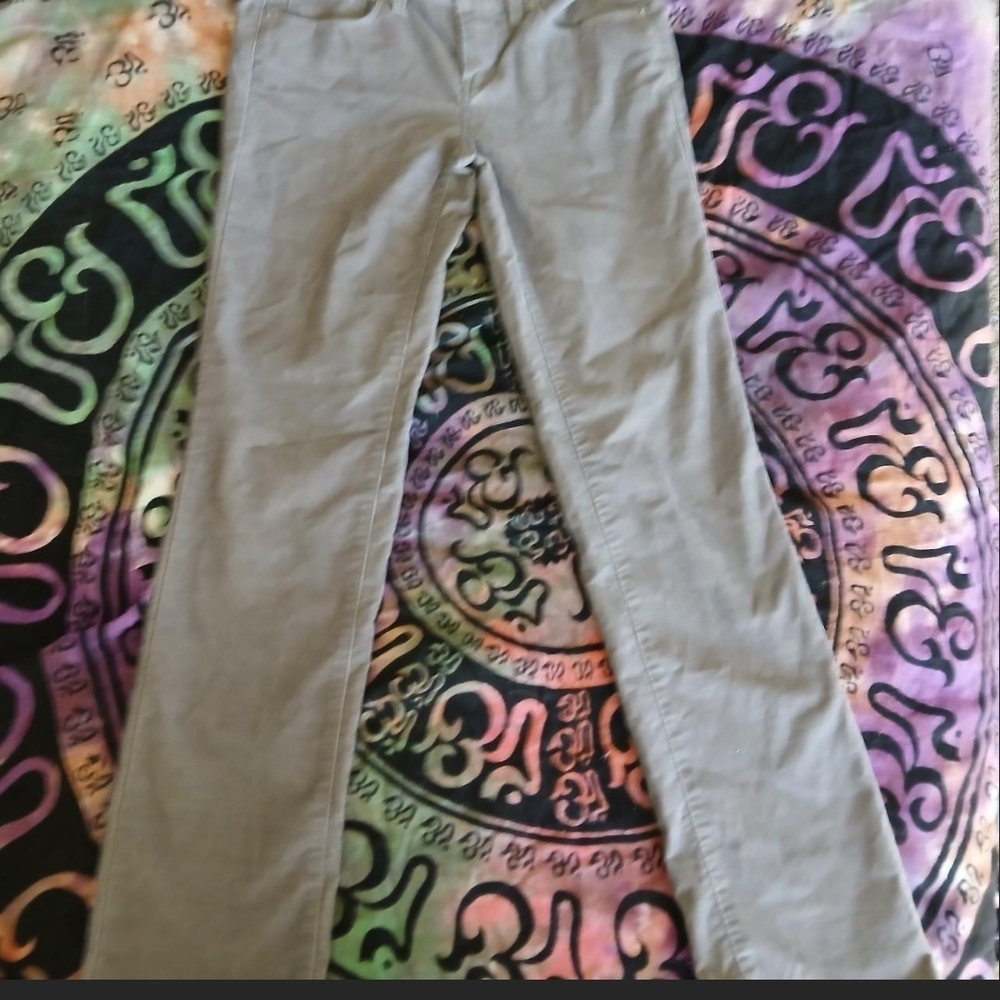 Ann Taylor Loft Taupe Corduroy Pants